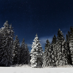 吴敏农场的驴全文阅读

